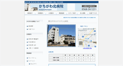Desktop Screenshot of kita-hosp.com